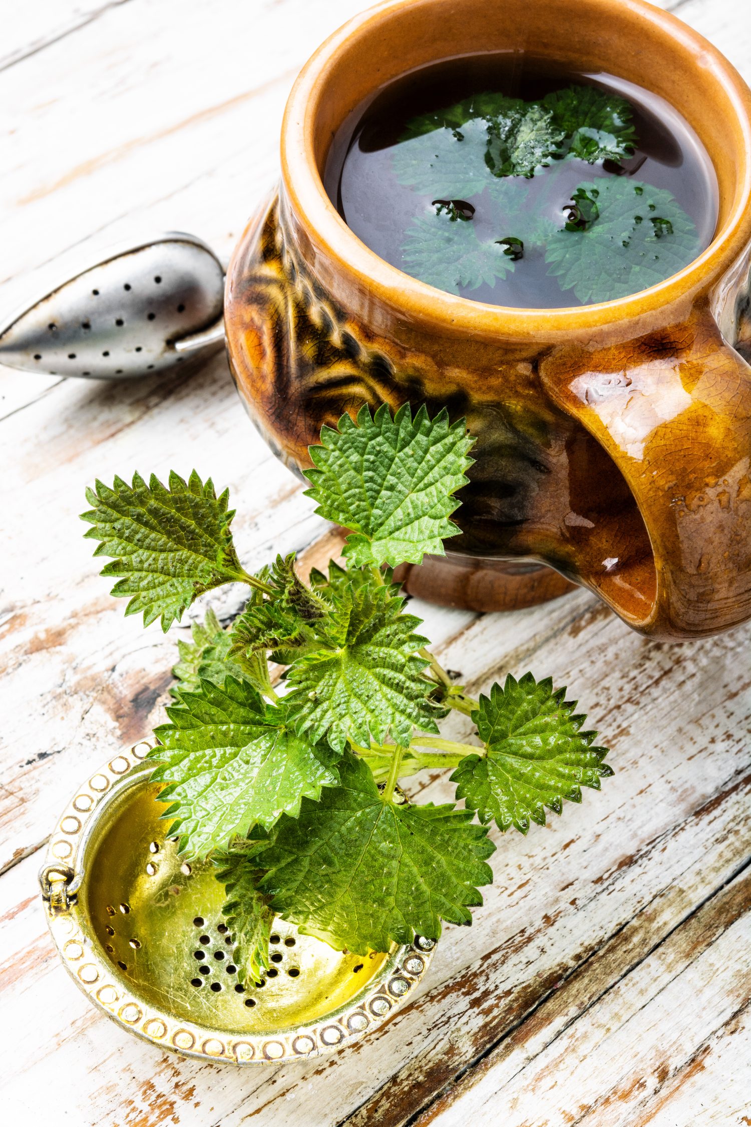 Tasse de tisane d’ortie fumante avec des feuilles d’ortie séchées et une théière sur une table en bois.